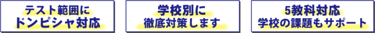 テスト範囲にドンピシャ対応。学校別に徹底対策します。5教科対応学校の課題もサポート